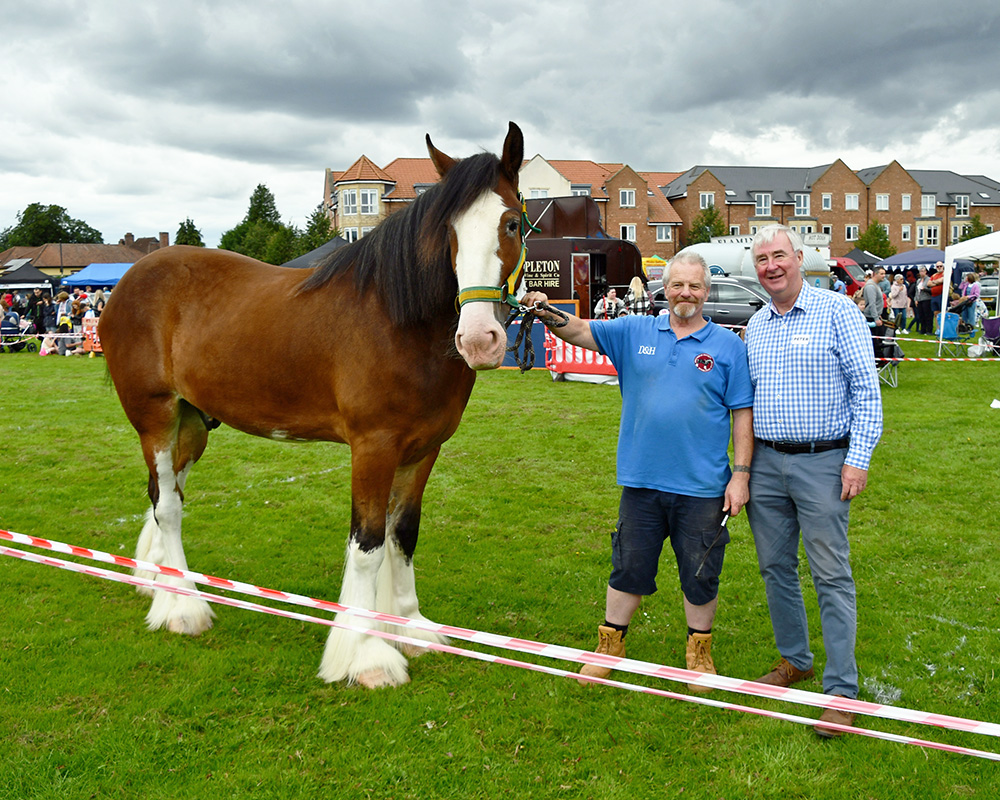  thirsk-sowerby-festival-landscape-2023-017 