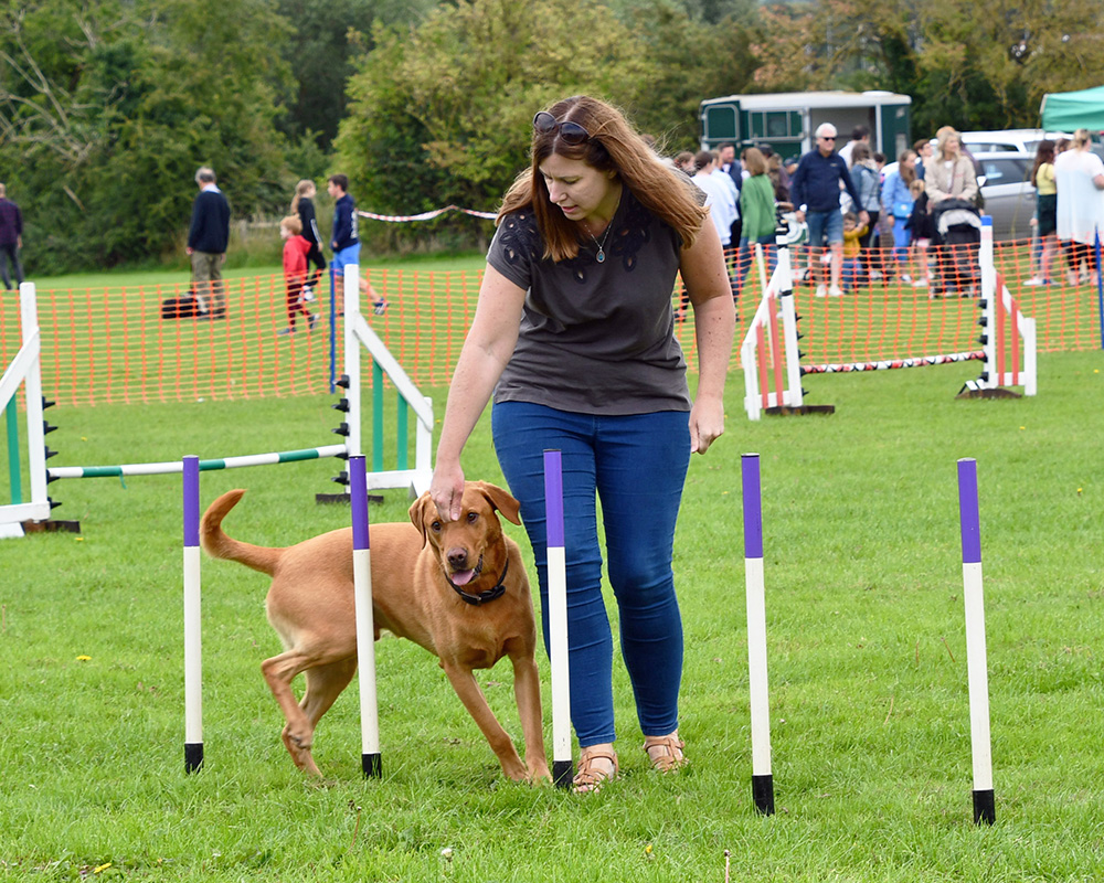  thirsk-sowerby-festival-landscape-2023-034 