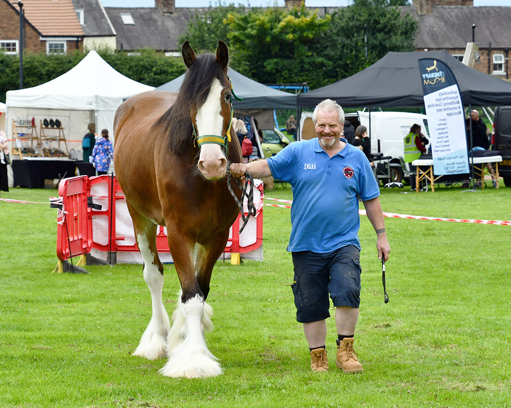  thirsk-sowerby-festival-landscape-2023-037 
