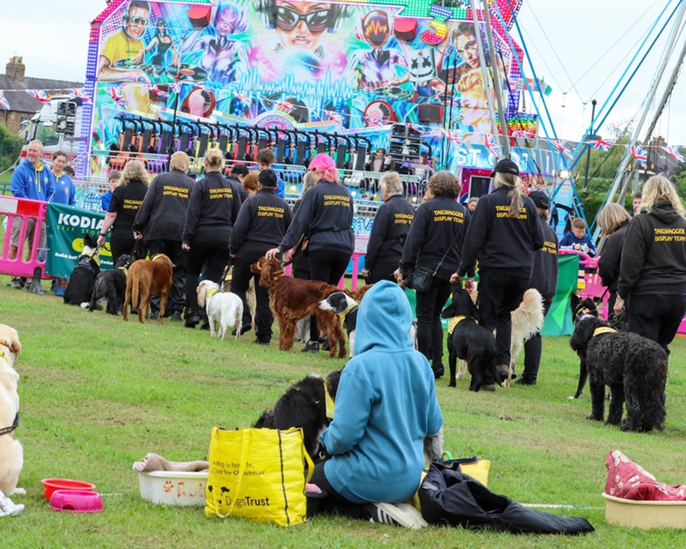  thirsk-sowerby-festival-landscape-2025-013 