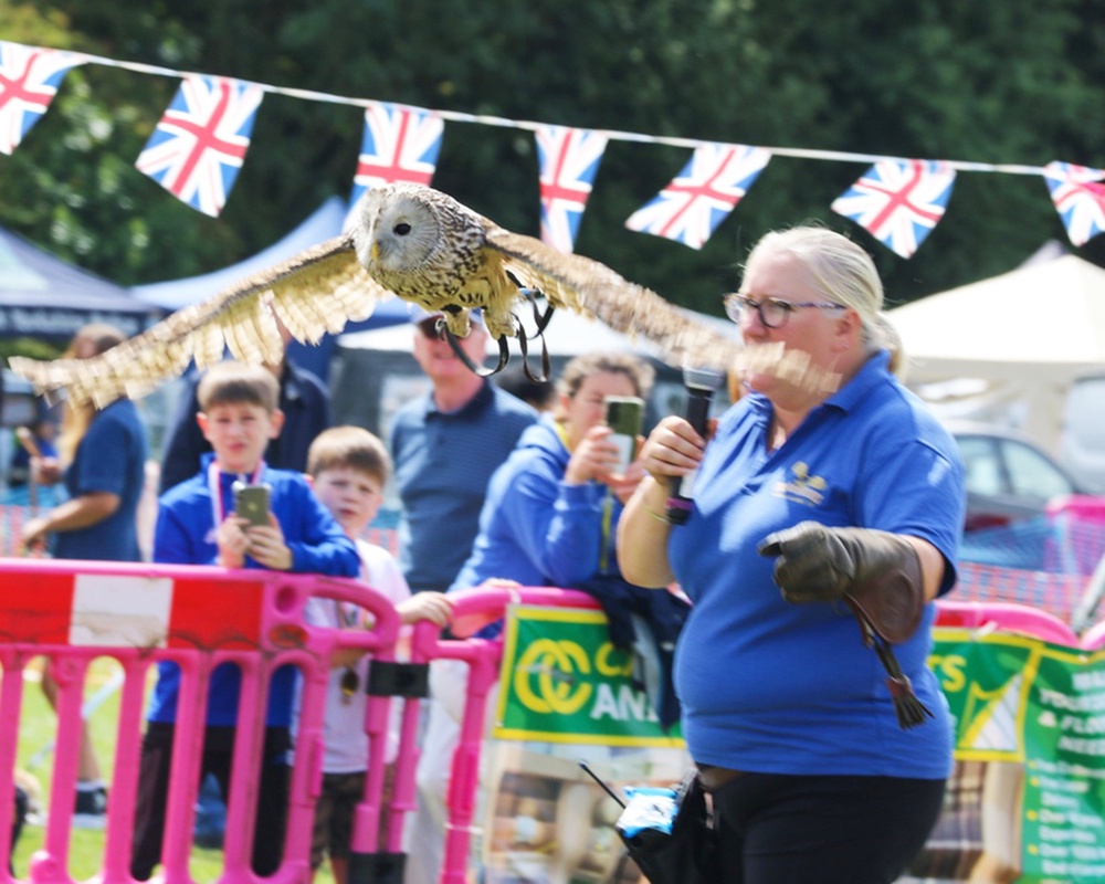 thirsk-sowerby-festival-landscape-2025-024 